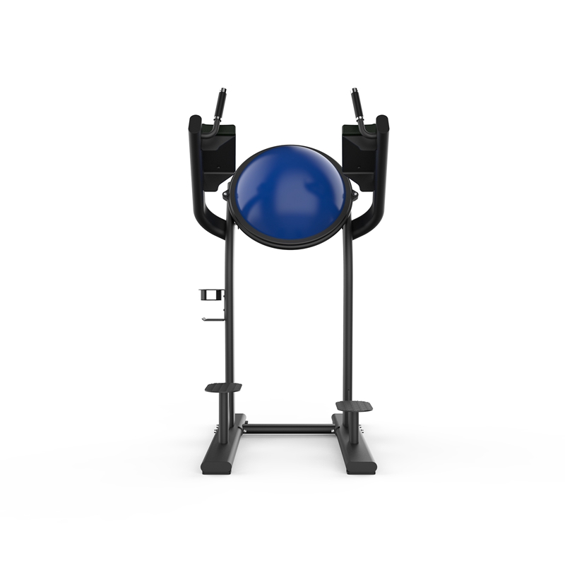 SH-G6886 提腿训练器